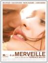 À la merveille (2013)