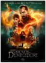 Les Animaux fantastiques : Les Secrets de Dumbledore (2022)