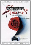 Harrison's Flowers (2000)