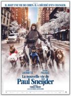 La Nouvelle Vie de Paul Sneijder (2016)
